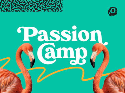 Passion Camp camp color concepts flamingos graveyard rip serif
