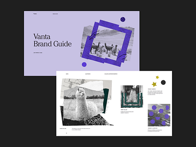 Vanta Brand Guide - Illustration brand guide collage illustration guide textures vanta
