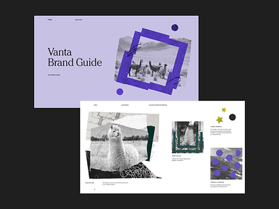 Vanta Brand Guide - Illustration