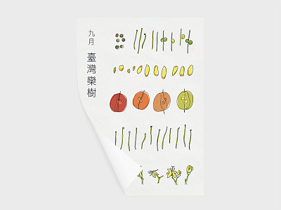 Taiwan Flower series - September: Flamegold calendar flower font illustration plant taiwan