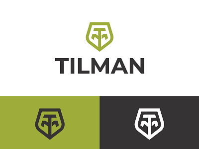 TM Monogram Logo brand designer graphic designer letter logo logo designer logo for sale logo maker logoground shield logo stock logos tm monogram typographic logo typography