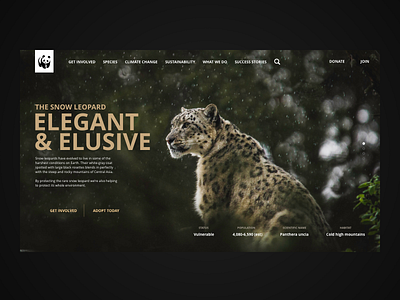 WWF website concept climate change design interaction design nature sustainability sustainable typography ui uidesigner ux uxdesigner web web design
