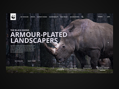 The Black Rhino website concept for WWF design interaction design nature sustainability typography ui ui ux design uidesigner uiux ux uxdesigner web web design webdesign
