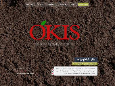 Okis Web Design design web website