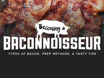 Becoming a baconnoisseur bacon blog font pig