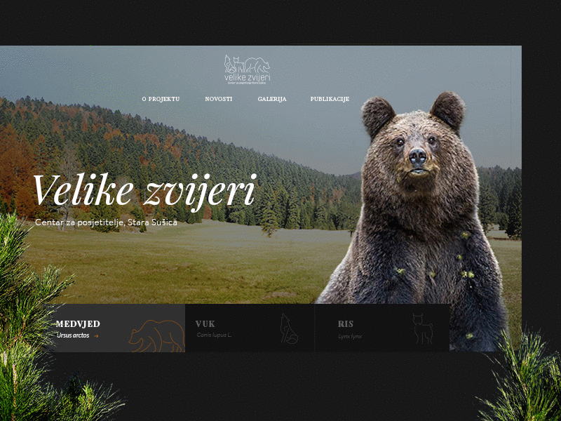 "Velike zvijeri" Visitor center croatia design nature photography ui ux website wild animals