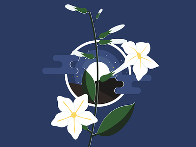 Jasmine alata designchallenge flat flower illustration night nightsky vector visualcookies white
