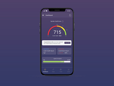 Mobile app dashboard credit score