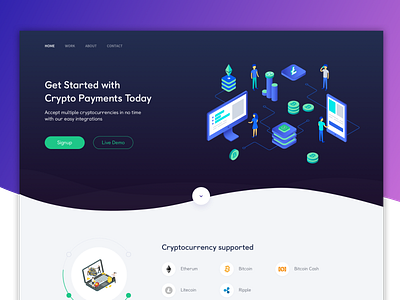Crypto Payments Landing Page UI landing page ui