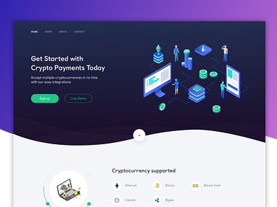 Crypto Payments Landing Page UI