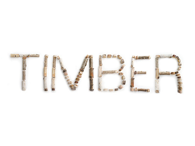 Timber Typeface design font graphic design letters logo nature organic stick typeface typography urban wood