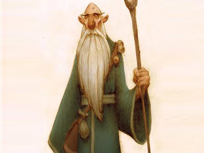 Wizard 1 beard magic robe skulls staff wizard