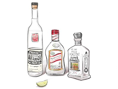 Booze + doodle = boozle. aguardiente alcohol colombia illustration mexico mezcal peru pisco
