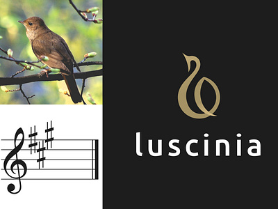 Luscinia - classical music concerts branding design flat illustration logo design logotype design vector