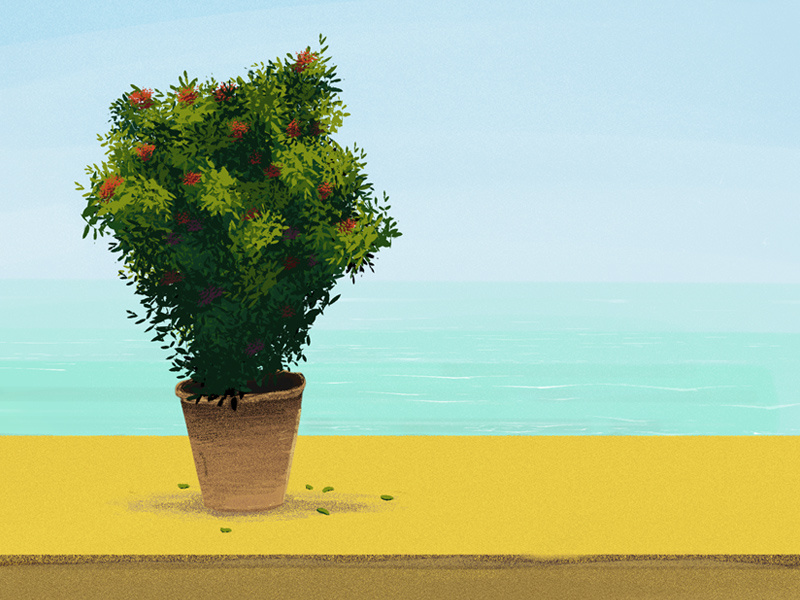 Ocean View sand sky plant digital illustration adobe sketch digital painting sketch illustration ocean sunny