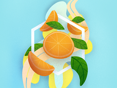 Oranges! 🍊🍊🍊 fruit fruits illustration orange oranges procreate