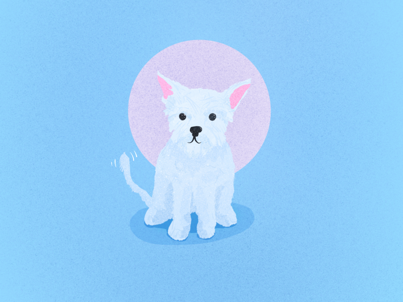 Cute dog minimalism minimal grainy grain illustration animals dogs animal dog procreate