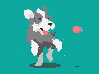 Schnauzer Dog ball dog drool illustration pets schnauzer