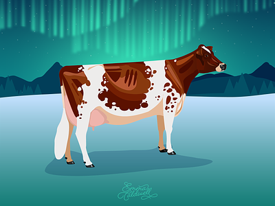 Ayrshire // Winter aryshire cow cows dairy digital green illustration illustrator vector winter