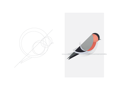 Birds Grain - bullfinch adobe bird birds grain illustration winter