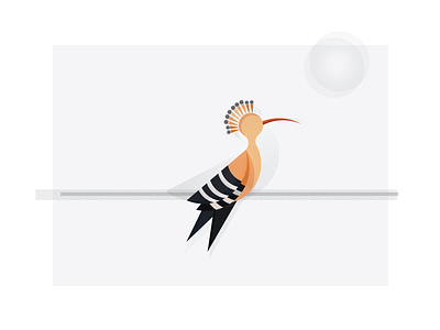 Hoopoe adobe bird grain hoopoe illustration