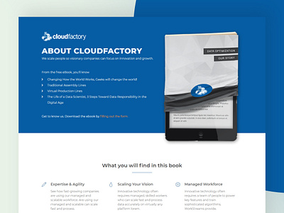 e-book landing page