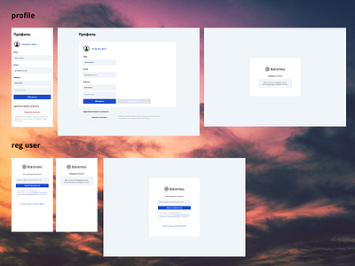 Barameo Profile/reg user app cargo colorful design mvp profile page ui ui ux uiux user user interface ux web