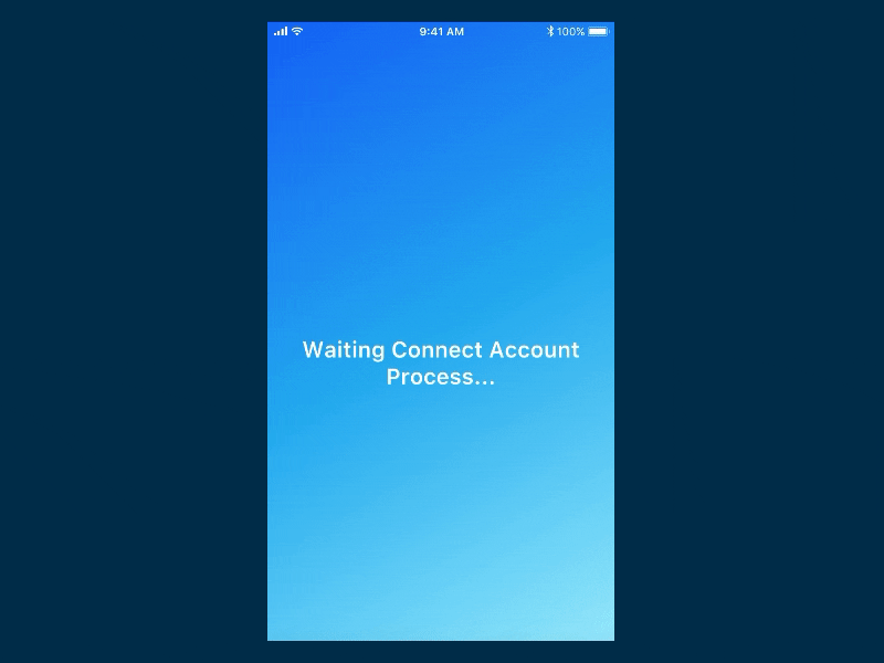 Loading Screen for Connect Account circle connect flinto loading process success