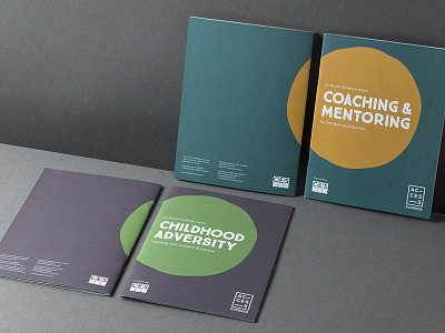 Access Evidence branding graphic design identity print design