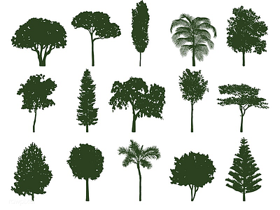 Silhouette tree set architect graphic icon silhouette tree vector