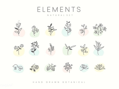 Nature Element Icon Set element flower graphic icon leaves nature vector