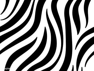 Animal print : Zebra animal graphic illustration pattern vector zebra