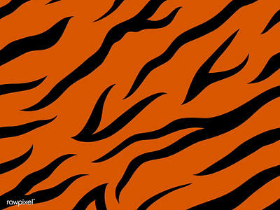 Animal Print : Tiger animal graphic illustration orange tiger vector