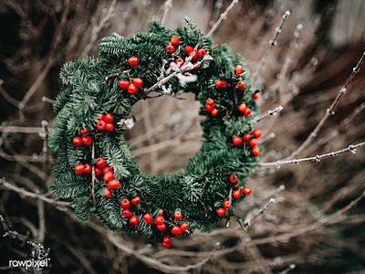 Winter Wreath christmas happiness holly ice joy merry photo photograhy snow winter wreath