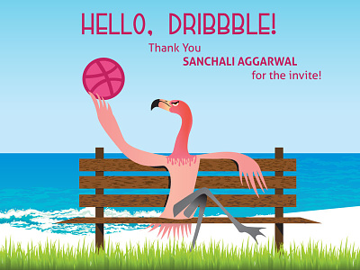 Hello, Dribbble! dribbble invite first shot flamingo hello hello dribbble thank you
