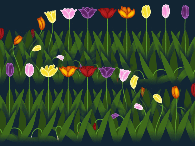 Tulip Garden 2d animation aesthetic blue cel animation cycle floral flowers garden loop spring tulip tulips