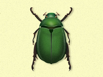 Little Beetle photoshop