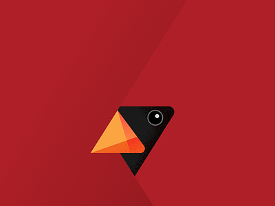 Cardinal bird illustration vector