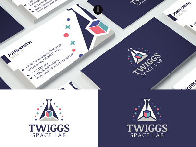 Twiggs Space Lab branding coporate illustration lab logo logo logo design space logo typography vector