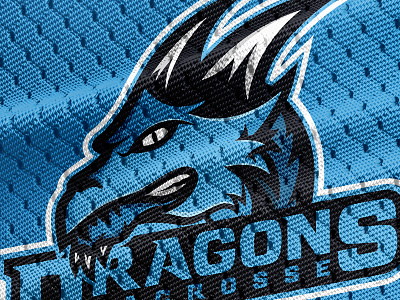 Sport Logo Mockup Dragon dragon dragon logo graphic design logo logo design mascot sport sport mascot team mascot