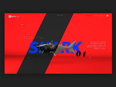 UI UX - Shark 3d c4d design grapgic design minimal typography ui ux web