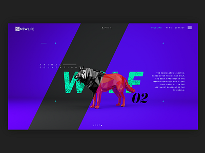 UI UX - Wolf 3d c4d design grapgic design minimal typography ui ux web