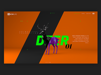 UI UX - Deer