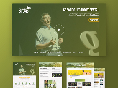 Forestal Sylvis - UI Design design gradient semiflat ui ui ux uiuxdesign web web design