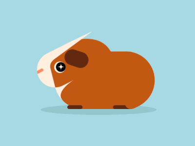 Molly after effects animal eating funny guinea pig illustrator molly poop shit