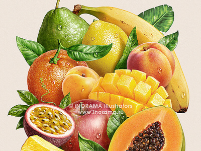 Multifrucht botanyart fruits illustration packaging