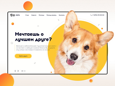 Website design - Pets