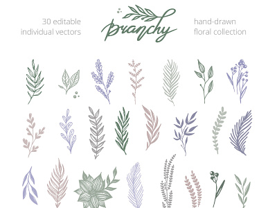 Branchy vector set botanical diy flowers hand drawn ipadpro leafs lineart plants stock