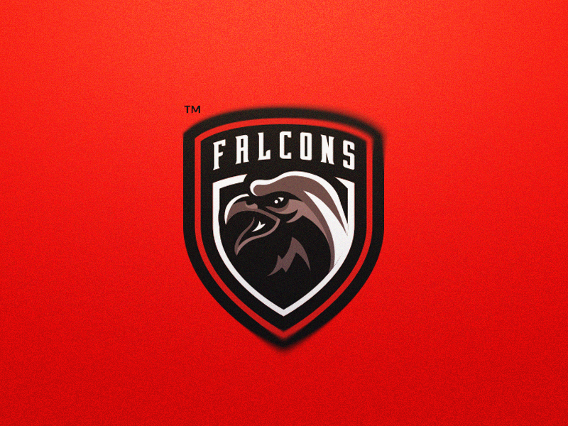 Falcons Mascot Logo bird logo esport falcon graphic design icon illustrator logo malmoo malmoobranding mascot photoshop sport