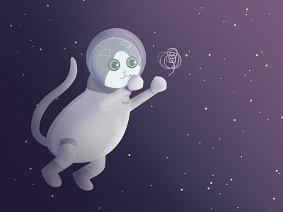 Space Kitty